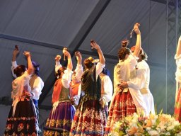 Festival de Folkore en Mula